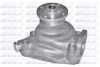 DOLZ P317 Water Pump